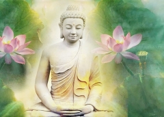 Ý nghĩa thí dụ ba cỏ, hai cây và người mù từ thuở nhỏ trong kinh Pháp hoa
