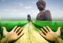 Giải thoát là thấy khổ vắng mặt của tự ngã