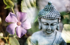 'Đạo Phật không cần đến những đoàn người theo Đạo Phật' * 