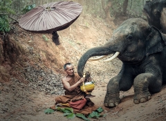 Pháp hành giữ giới bất sát sanh tuyệt diệu