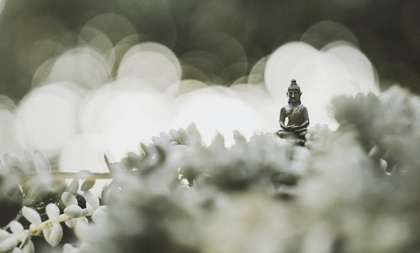 Những điều nên biết khi muốn hoá giải oan gia