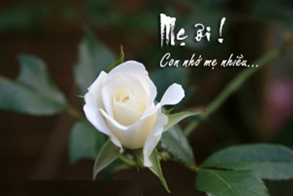 Nhớ mẹ mùa Vu lan