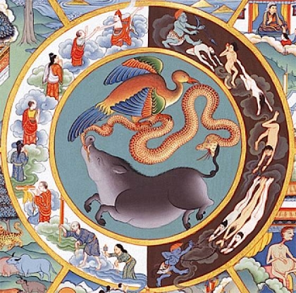 Hóa giải hận thù, quảng kết thiện duyên, hoàn thành sự nghiệp