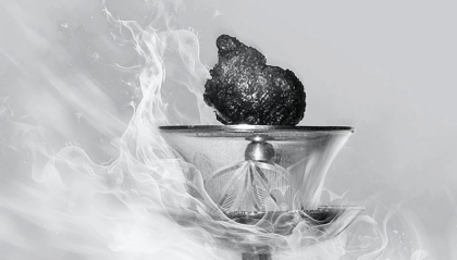 Chiêm bái xá lợi trái tim Bồ tát Thích Quảng Đức từ ngày 6/5