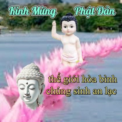 Lửa từ bi mùa Phật đản sáu mươi hai năm nhìn lại