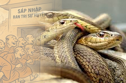 Con dường danh lợi cong cong...