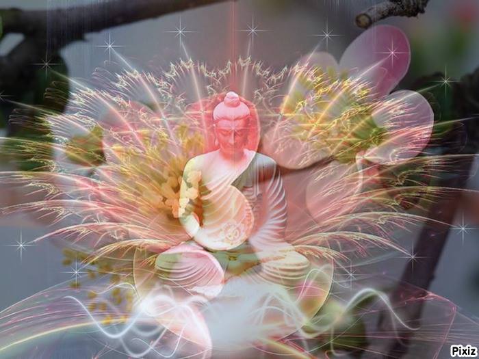 Thấy rõ khổ để bớt khổ