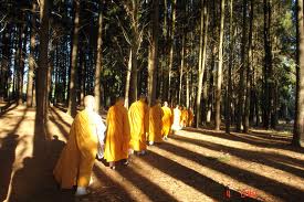 Hoài Niệm Pháp Lữ