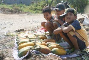 Có những mùa Xuân tật nguyền