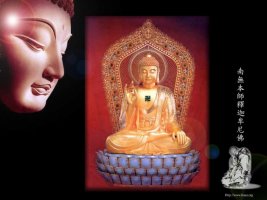 Hạnh phúc và phước đức trong thiền quán