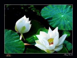 Đối chiếu Khoa học và Phật giáo