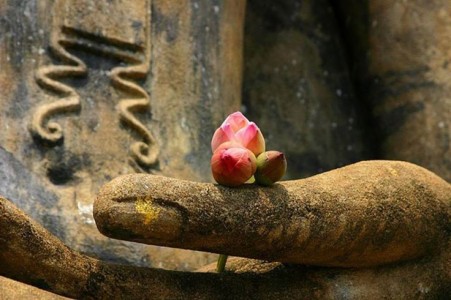 32 tướng tốt của Phật của Phật theo các bản kinh