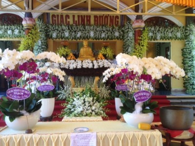 'Tổ đình' của văn nghệ sĩ Phật tử