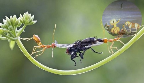  Lại chuyện nhân sự trước đại hội 