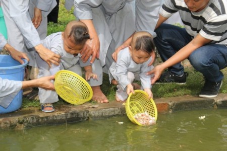  Phóng sinh như thế nào cho đúng cách ?