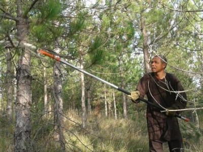 Nhật ký 'xây' thiền đường Thông reo cho 1000 thiền sinh tu tập giữa rừng