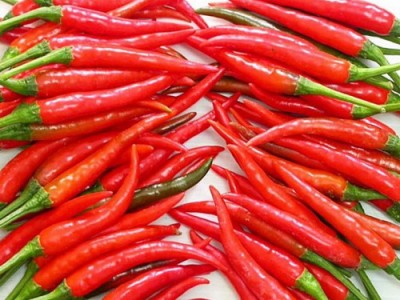 Những phương thuốc hay từ ớt