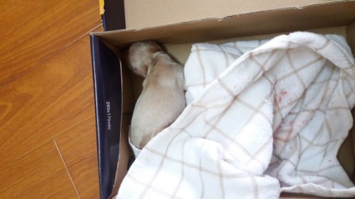 Bài học từ cuộc đời của Lucky