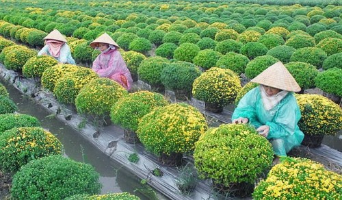 Bảo vệ trái đất: Nông nghiệp thuận theo tự nhiên góp phần bảo vệ môi trường, sức khỏe và đời sống tinh thần(bài 4)