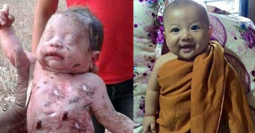 Bé trai bị đâm 14 nhát dao và chôn sống, bây giờ như một tiểu hòa thượng 