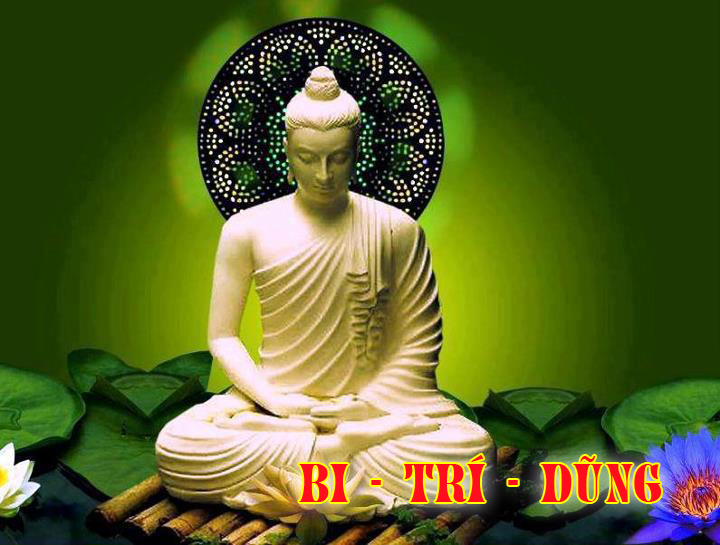 Hiểu chữ Bi - Trí - Dũng trong đạo Phật như thế nào