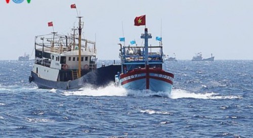 Góp nhặt ven bờ từ cơn sóng biển Đông