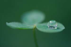 Từ biển tâm tĩnh lặng