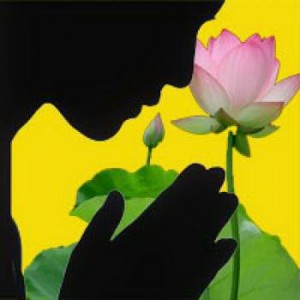 Bổn phận của người đệ tử Phật