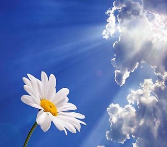 Cái gì 'cao hơn trời, nặng hơn đất'?