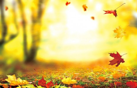 Vượt qua cám dỗ, danh vọng