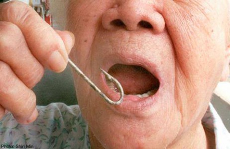 Quả báo cho những người thích câu cá