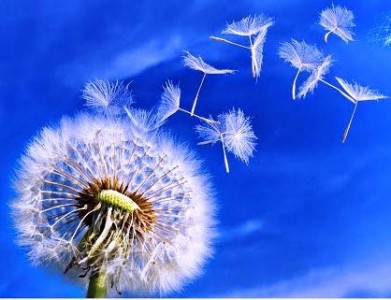 Cầu siêu độ hương linh có được siêu thoát ?