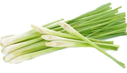 Diệt tế bào ung thư, giảm huyết áp bằng cây sả