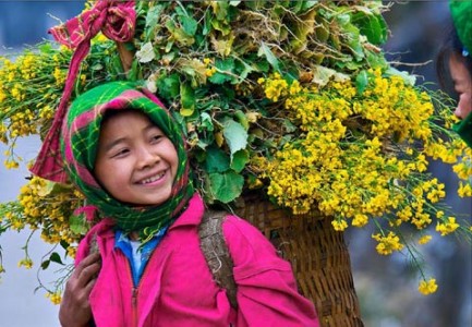 Hãy cho nhau nụ cười