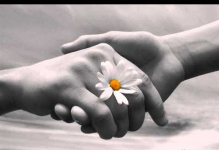 Chữa bệnh bằng tiền và chữa bệnh bằng tình thương?