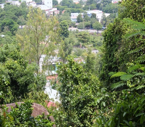 Bị xây nhà ở bao vây chùa 400 năm tuổi kêu cứu