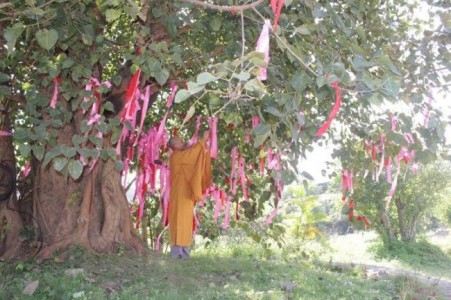 Chùa Khánh Long đón giao thừa xuân Bính Thân 2016