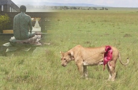 Chuyện dài cuộc sống thiền môn