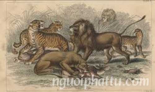 Suy luận về bài kinh Phật bàn về 