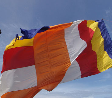 Suy nghĩ về việc giải quyết để chấm dứt các tệ nạn xảy ra trong Phật giáo 