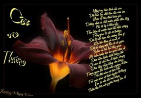 Thế gian vô thường…