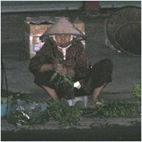 Cụ bà 106 tuổi và chưa bao giờ ăn thịt, cá!