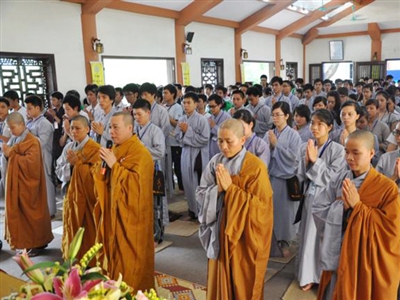 Đâu cứ thất tình mới đi tu