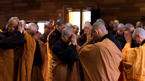 Tâm sở: Tàm - Quý