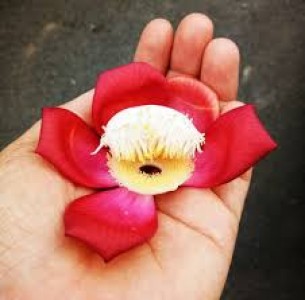 Ai rồi cũng phải đối diện với cái chết