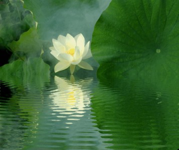 Quan Công đốn ngộ