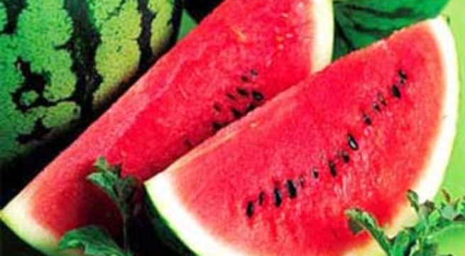 Dưa hấu lợi tiểu, hạ huyết áp