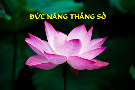 Đức năng thắng số