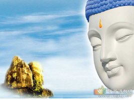 Định nghĩa và phạm vi của sát sinh ?