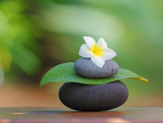 Sống an vui với tâm không chống đối, không phán xét và không ràng buộc